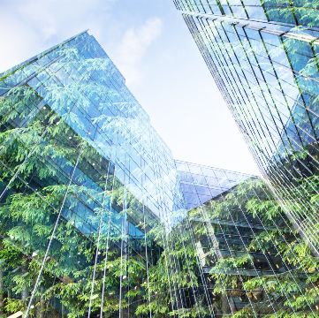 Construction Environmental Monitoring