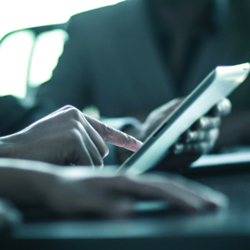 Board and committees