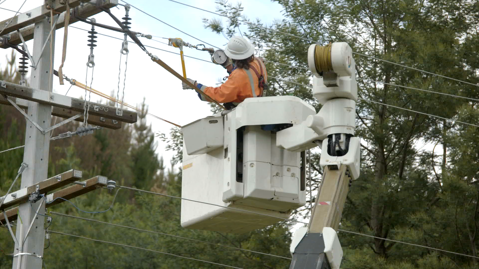 Rotoehu Road overhead line and power pole replacement 