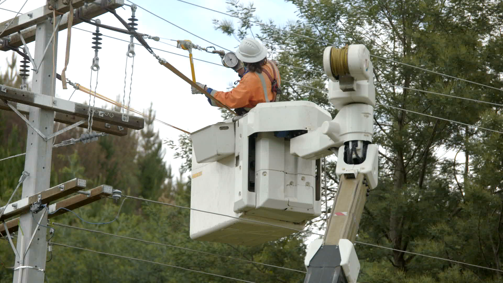 Rotoehu Road overhead line and power pole replacement  Rotoehu Road overhead line and power pole replacement