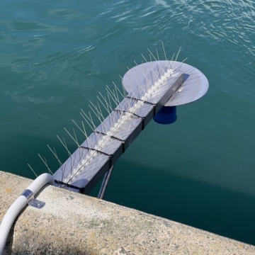 Port Otago Tide & Wind Telemetry 