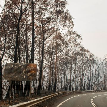 Community Rebuilding Trust