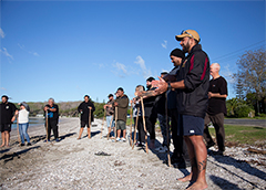 Cultural awareness & competence Cultural awareness & competence